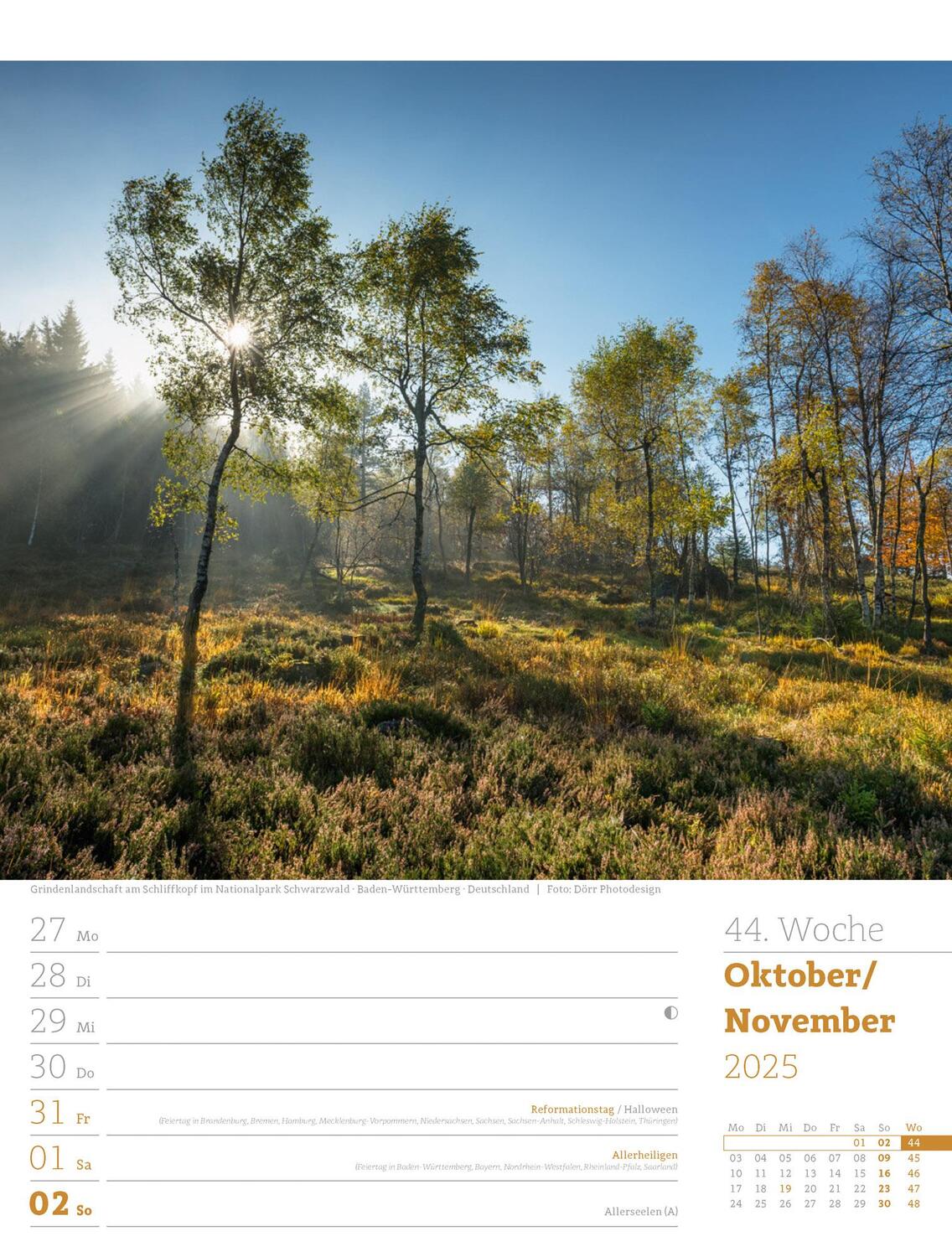 Bild: 9783838425979 | Unser Wald - Wochenplaner Kalender 2025 | Ackermann Kunstverlag | 2025