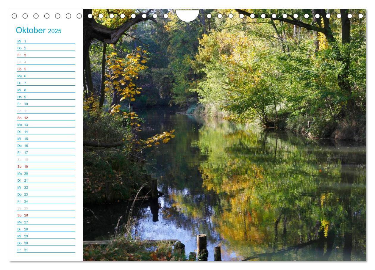 Bild: 9783435515271 | Wunderschöner Spreewald (Wandkalender 2025 DIN A4 quer), CALVENDO...