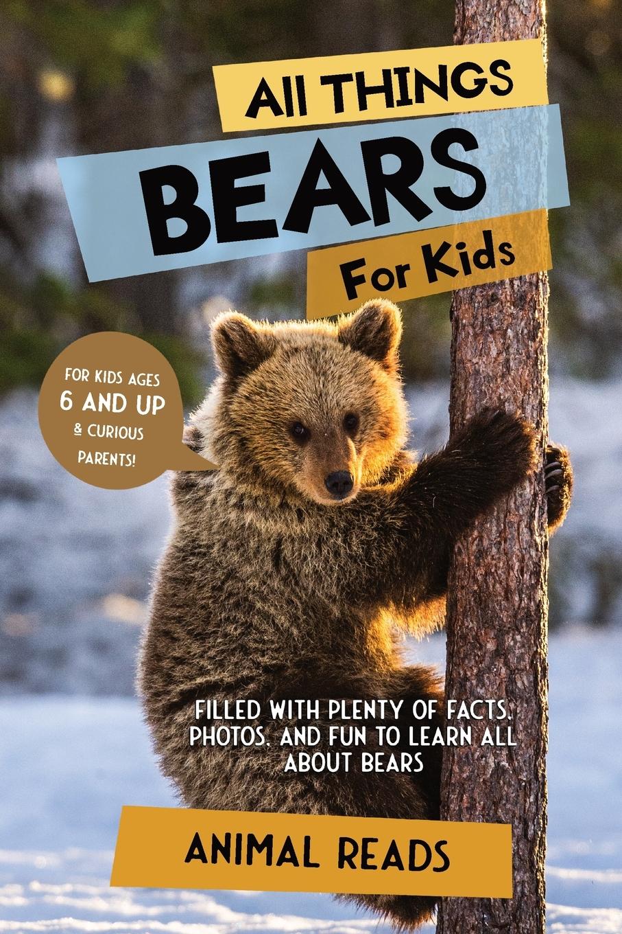 Cover: 9783967721133 | All Things Bears For Kids | Animal Reads | Taschenbuch | Englisch