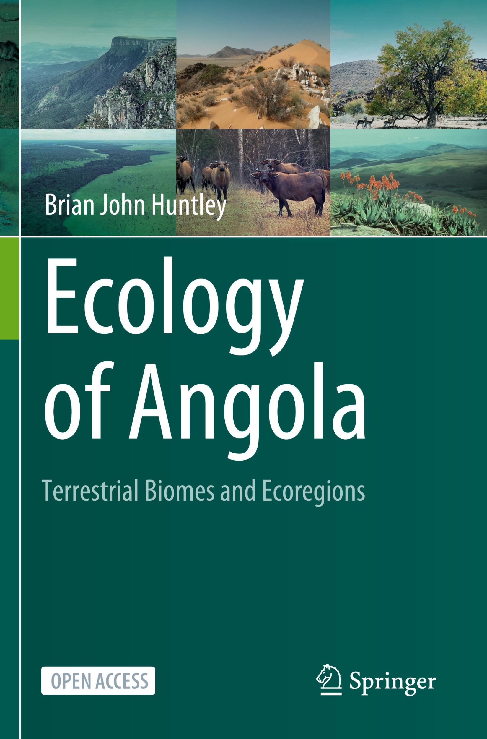 Cover: 9783031189258 | Ecology of Angola | Terrestrial Biomes and Ecoregions | Huntley | Buch