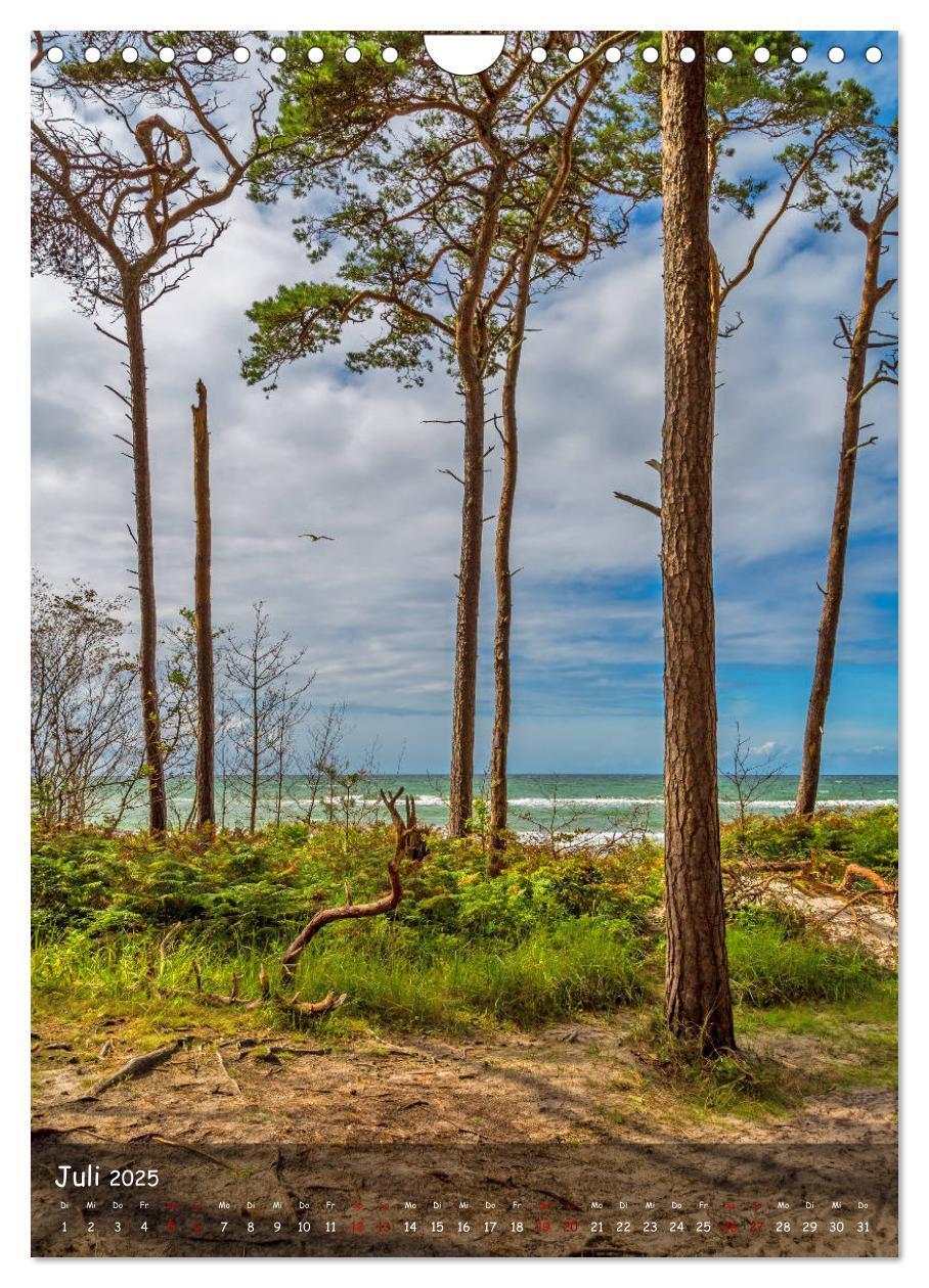 Bild: 9783435956654 | Wunderbare Ostseelandschaft Fischland-Darß-Zingst (Wandkalender...