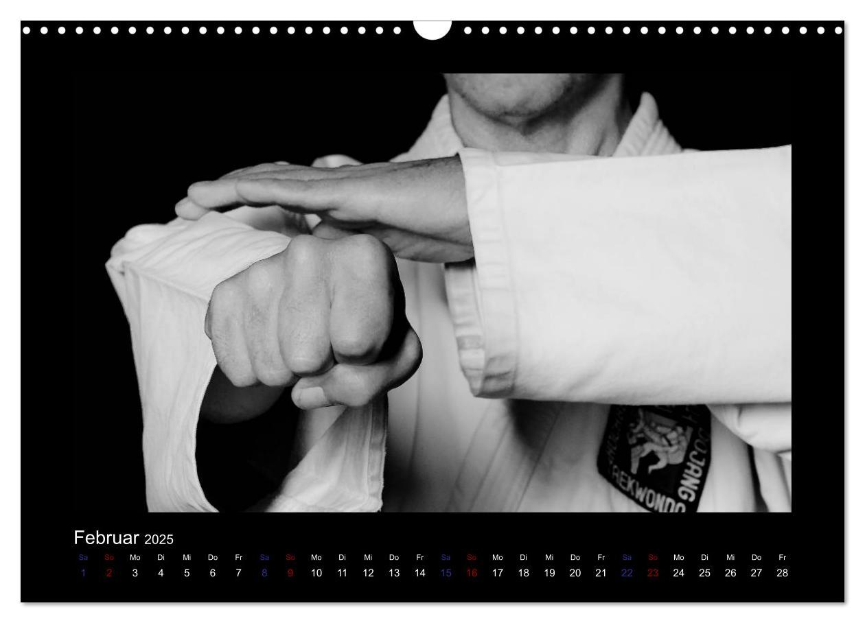 Bild: 9783435418688 | Traditionelles Taekwon-Do (Wandkalender 2025 DIN A3 quer), CALVENDO...