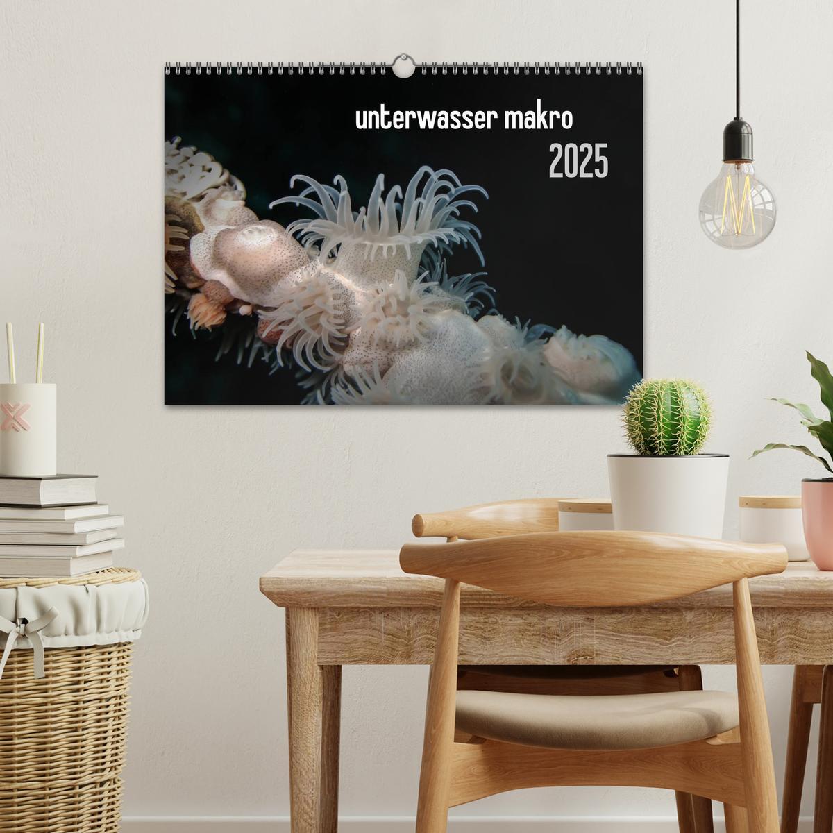 Bild: 9783435598007 | unterwasser makro 2025 (Wandkalender 2025 DIN A3 quer), CALVENDO...