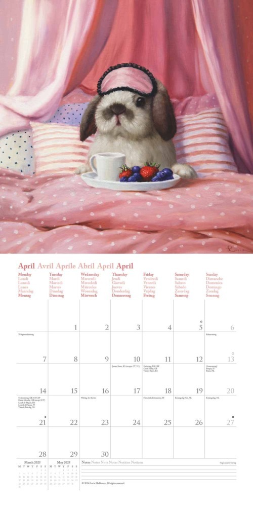 Bild: 4002725994196 | N NEUMANNVERLAGE - Funny Animals 2025 Broschürenkalender, 30x30cm,...