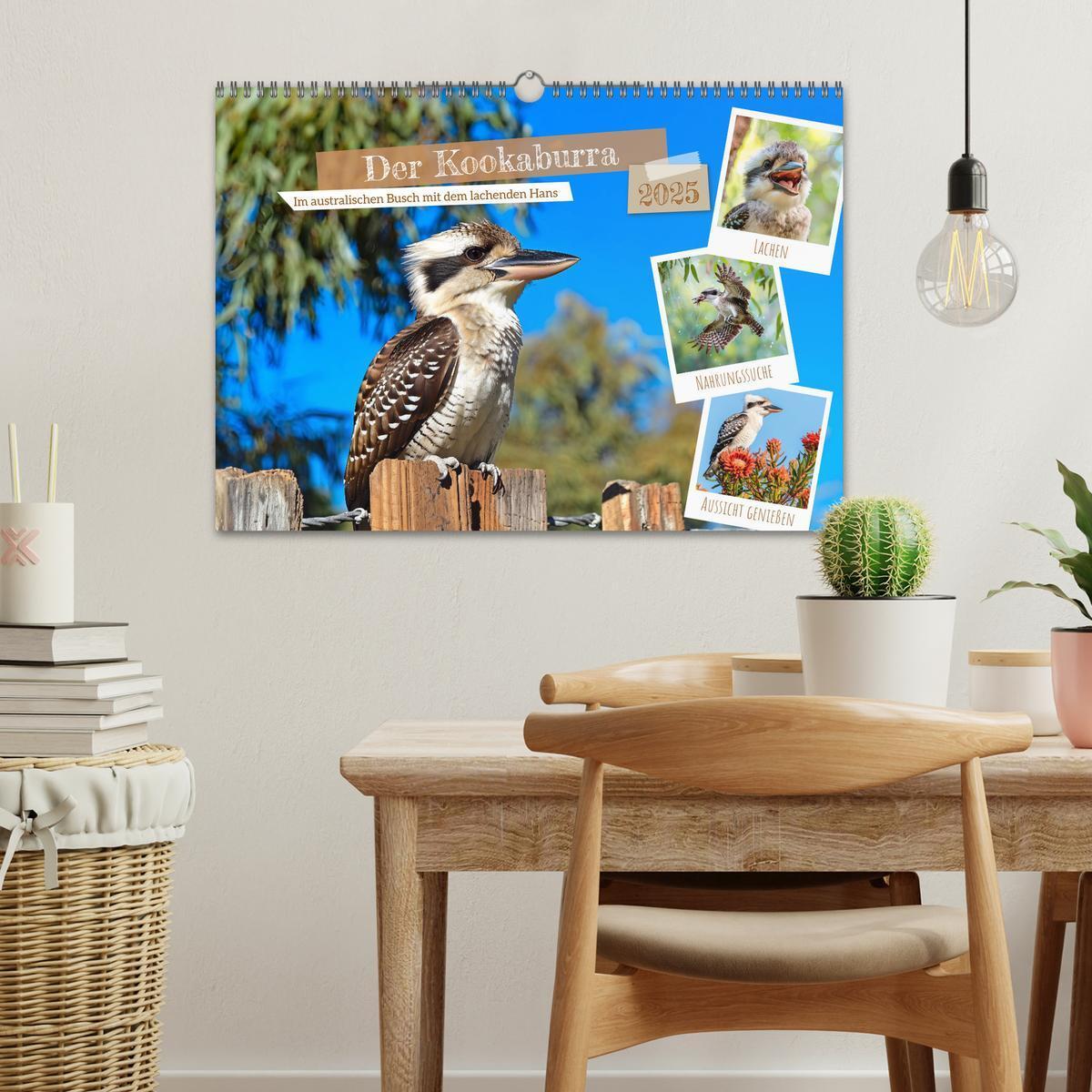 Bild: 9783383777899 | Der Kookaburra - Im australischen Busch mit dem lachenden Hans...