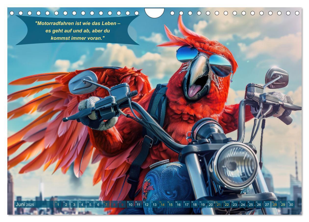 Bild: 9783457166048 | Tierisch lustige Motorradfahrer (Wandkalender 2025 DIN A4 quer),...