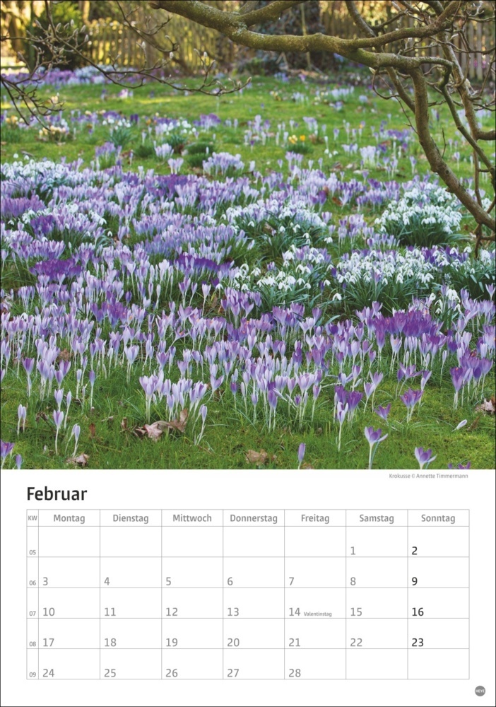 Bild: 9783756405572 | Gartenzauber Kalender 2025 | Kalender | Spiralbindung | 13 S. | 2025