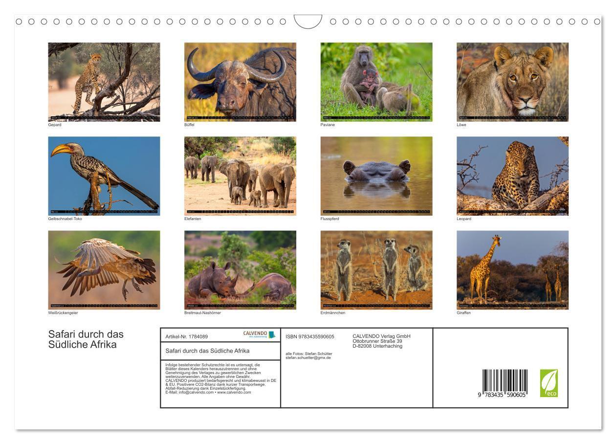 Bild: 9783435590605 | Safari durch das Südliche Afrika (Wandkalender 2025 DIN A3 quer),...