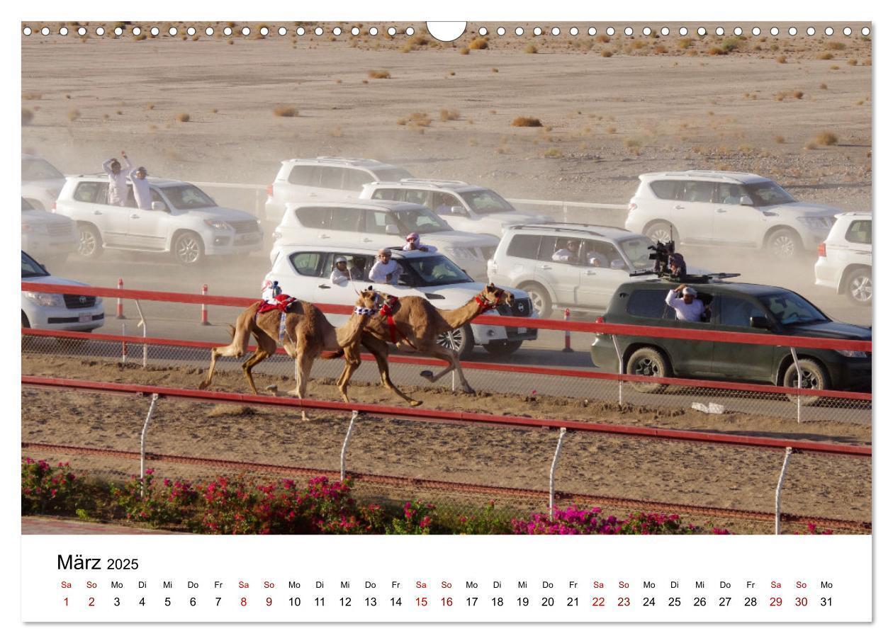 Bild: 9783435072354 | KAMELE... eine Reise durch den Oman. (Wandkalender 2025 DIN A3...