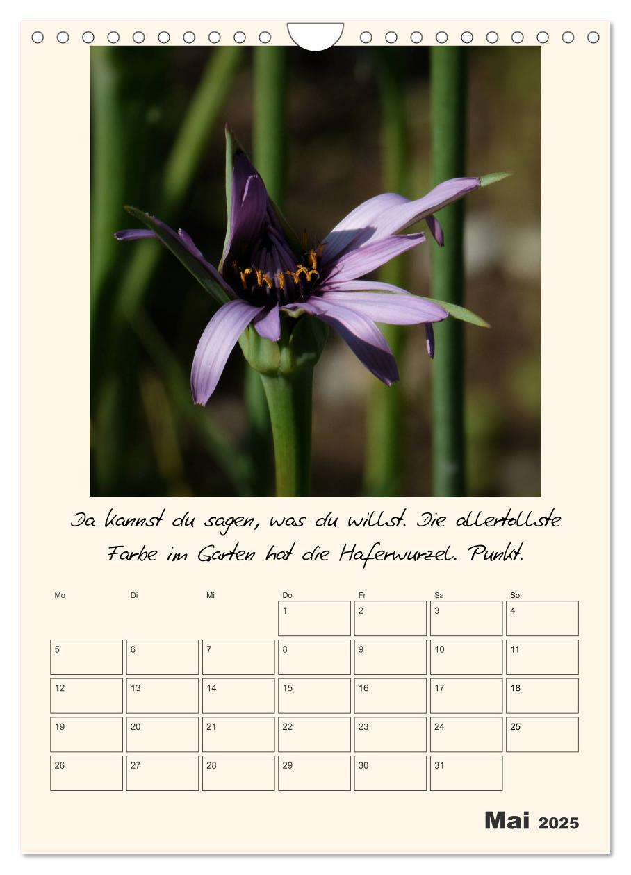 Bild: 9783435999583 | Gartengeschichten (Wandkalender 2025 DIN A4 hoch), CALVENDO...