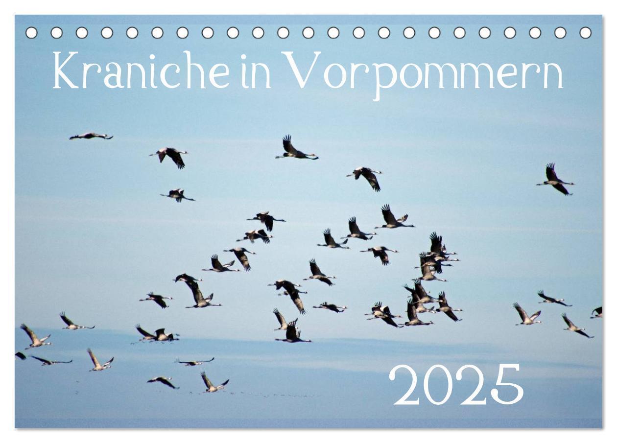 Cover: 9783435648535 | Kraniche in Vorpommern (Tischkalender 2025 DIN A5 quer), CALVENDO...