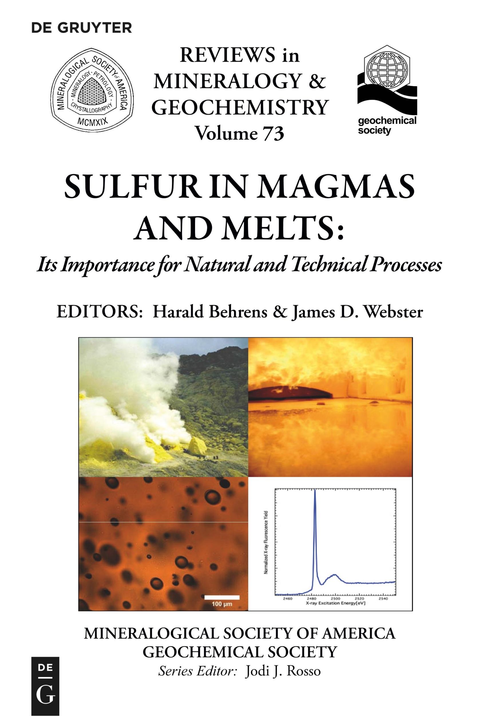 Cover: 9780939950874 | Sulfur in Magmas and Melts: | James D. Webster (u. a.) | Taschenbuch