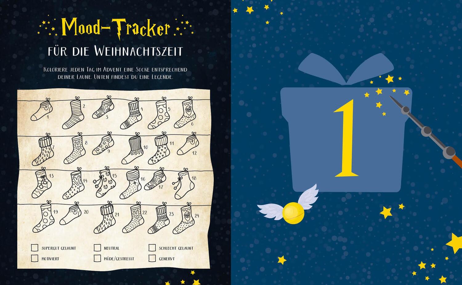 Bild: 9783745906882 | Mein Adventskalender-Zeichenbuch für Potterheads and Friends | Jost