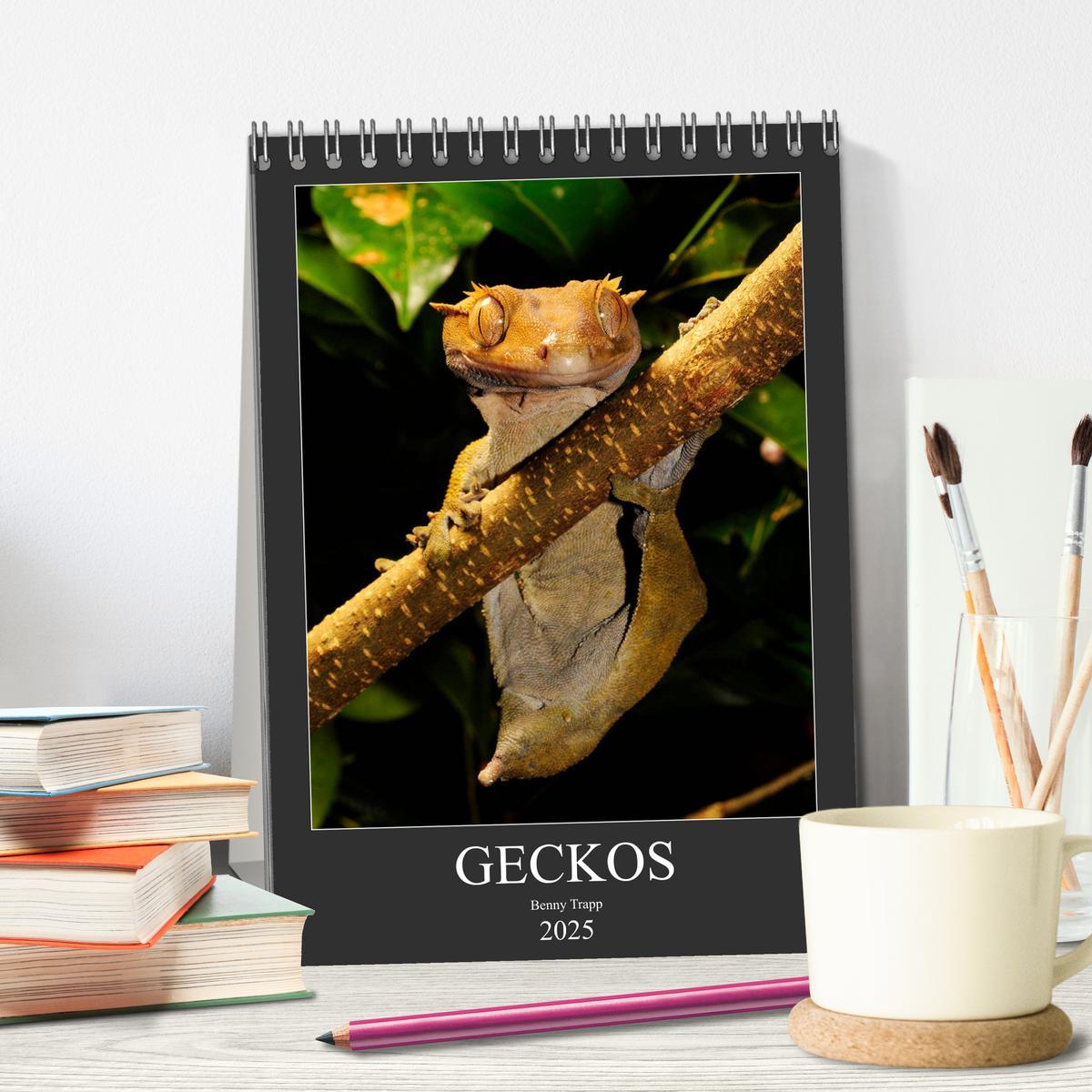 Bild: 9783435993161 | GECKOS (Tischkalender 2025 DIN A5 hoch), CALVENDO Monatskalender