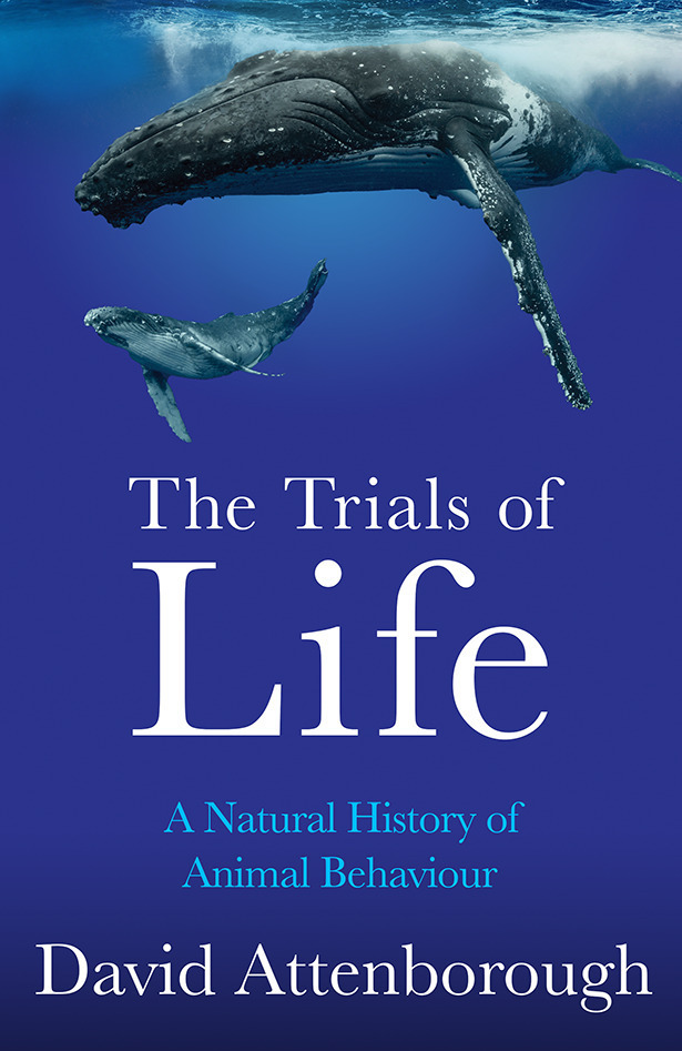 Cover: 9780008477899 | The Trials of Life | A Natural History of Animal Behaviour | Buch