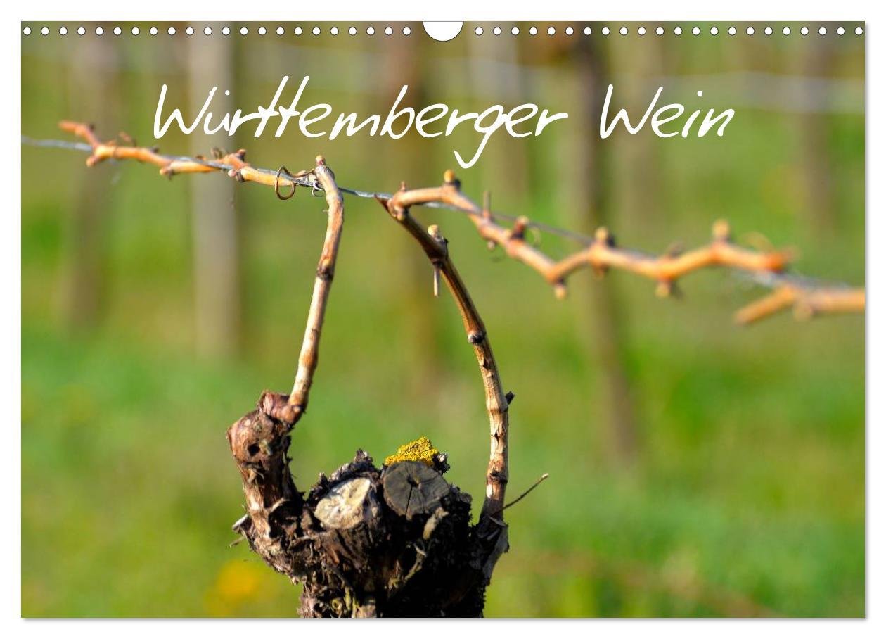 Cover: 9783435804795 | Württemberger Wein 2025 (Wandkalender 2025 DIN A3 quer), CALVENDO...