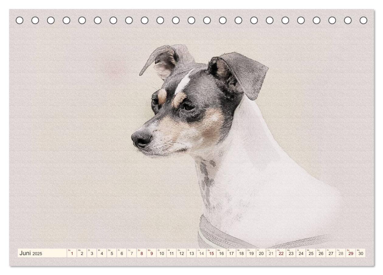 Bild: 9783435699872 | Bodeguero Andaluz 2025 (Tischkalender 2025 DIN A5 quer), CALVENDO...