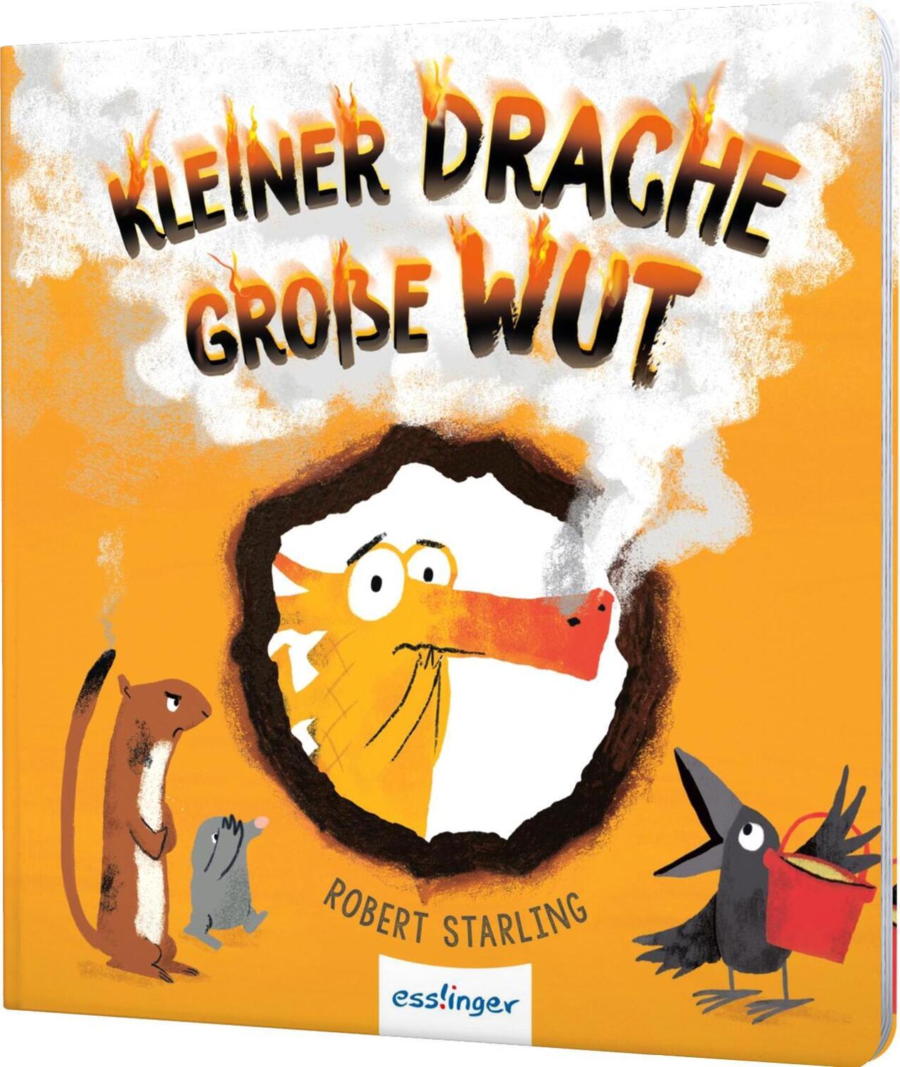 Cover: 9783480237791 | Kleiner Drache Finn: Kleiner Drache, große Wut | Robert Starling