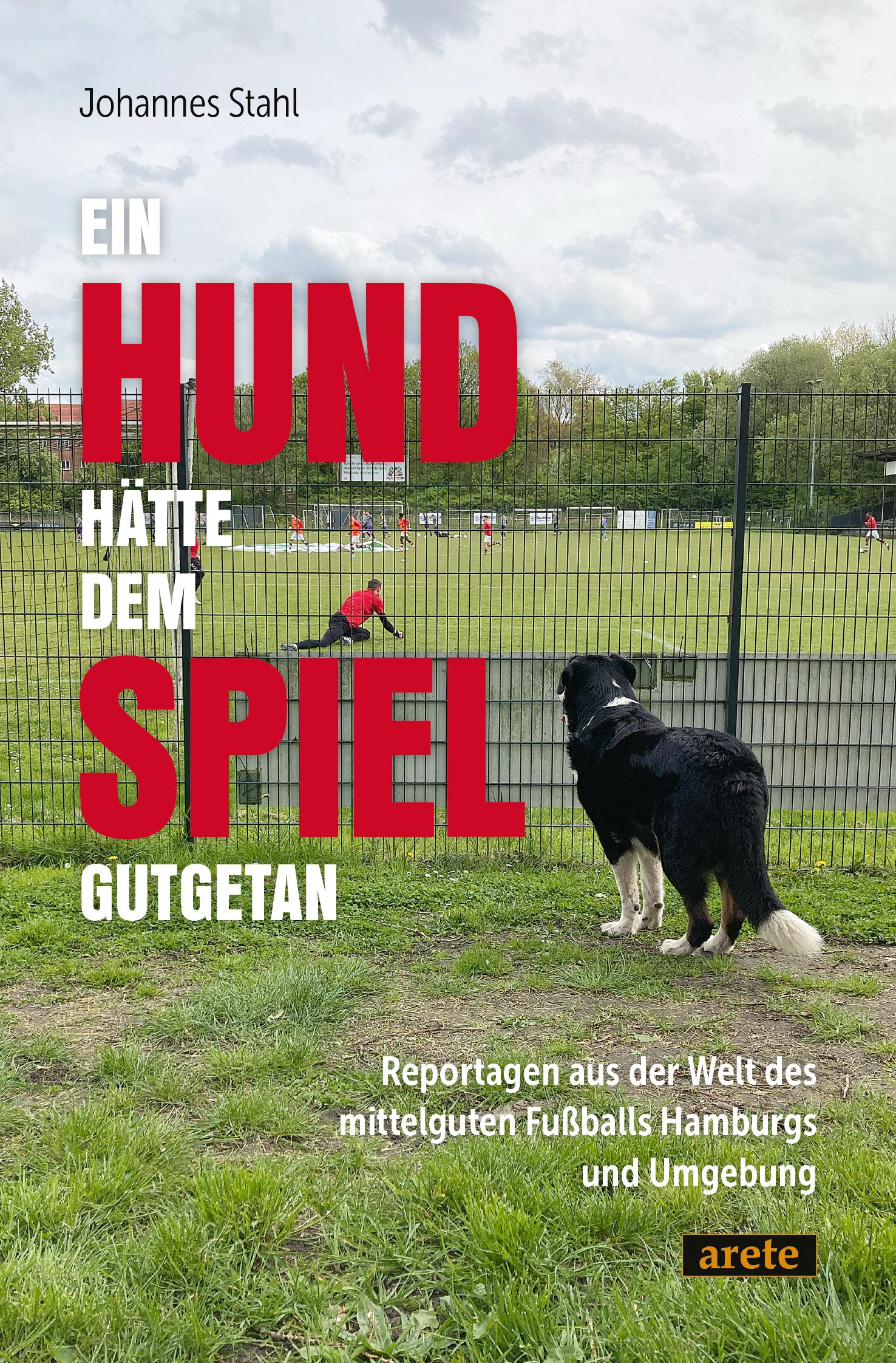 Cover: 9783964231369 | Ein Hund hätte dem Spiel gutgetan | Johannes Stahl | Taschenbuch