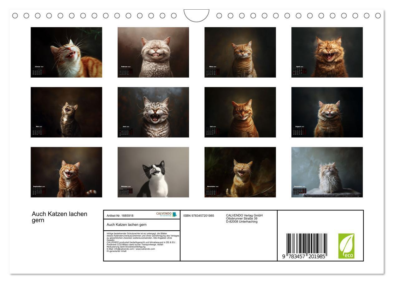 Bild: 9783457201985 | Auch Katzen lachen gern (Wandkalender 2025 DIN A4 quer), CALVENDO...