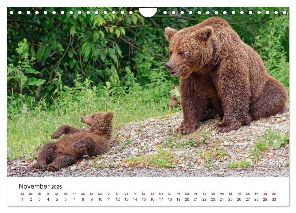 Bild: 9783383798474 | Siebenbürgen und das Fagaras Gebirge (Wandkalender 2025 DIN A4...