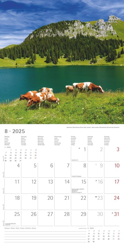 Bild: 4251732340926 | Alpha Edition - Alpen 2025 Broschürenkalender, 30x30cm,...