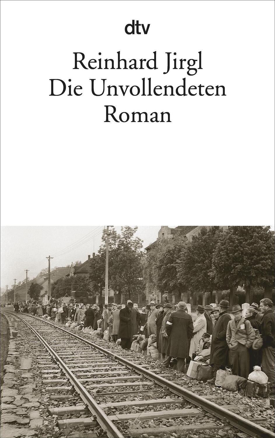 Cover: 9783423135313 | Die Unvollendeten | Roman | Reinhard Jirgl | Taschenbuch | Deutsch