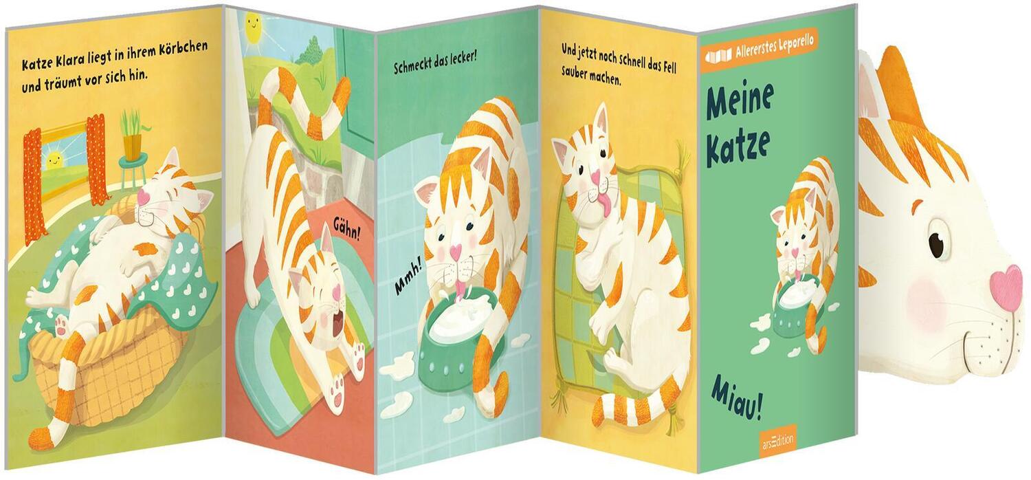 Bild: 9783845851167 | Allererstes Leporello - Meine Katze | Miau! | Buch | 12 S. | Deutsch