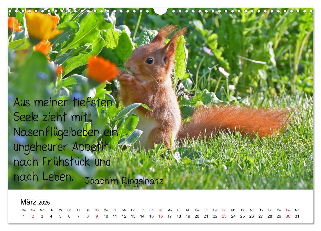 Bild: 9783435433926 | Der literarische Eichhörnchen-Kalender (Wandkalender 2025 DIN A3...