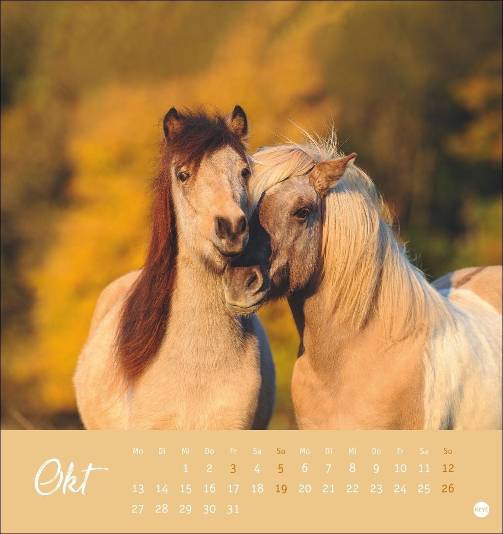 Bild: 9783756407040 | Pferde Postkartenkalender 2025 - Starke Freunde | Kalender | 13 S.