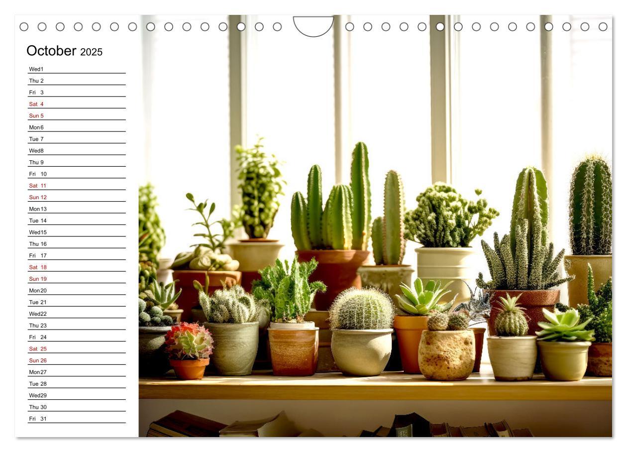 Bild: 9781325833092 | Cacti Wonderland (Wall Calendar 2025 DIN A4 landscape), CALVENDO 12...