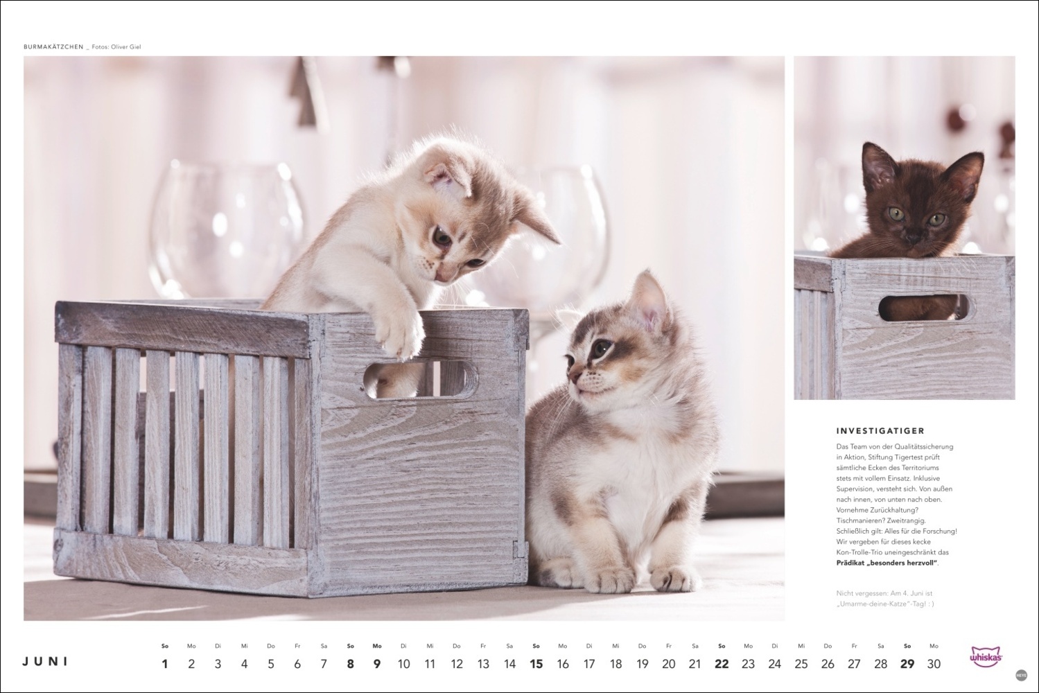 Bild: 9783756404971 | Whiskas Katzenkalender 2025 | Kalender | Spiralbindung | 14 S. | 2025