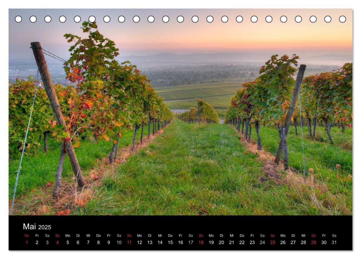 Bild: 9783435718405 | Weinberge im Remstal (Tischkalender 2025 DIN A5 quer), CALVENDO...