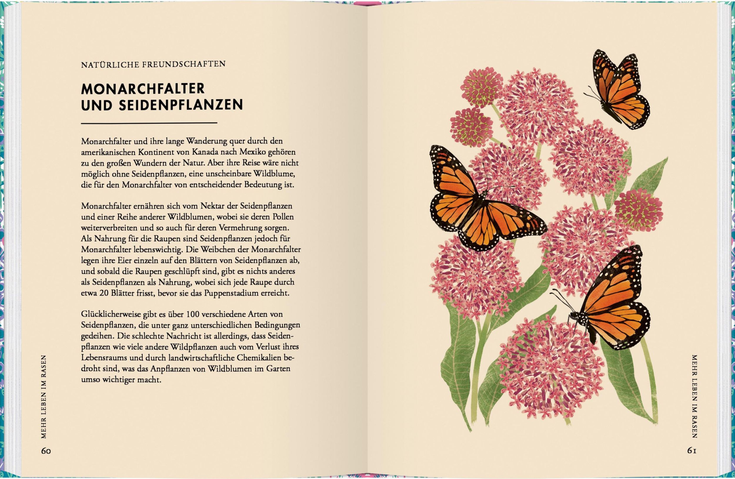 Bild: 9783836922067 | Wildblumen pflanzen | Nektarreiche Blüten für hübsche Nützlinge | Buch