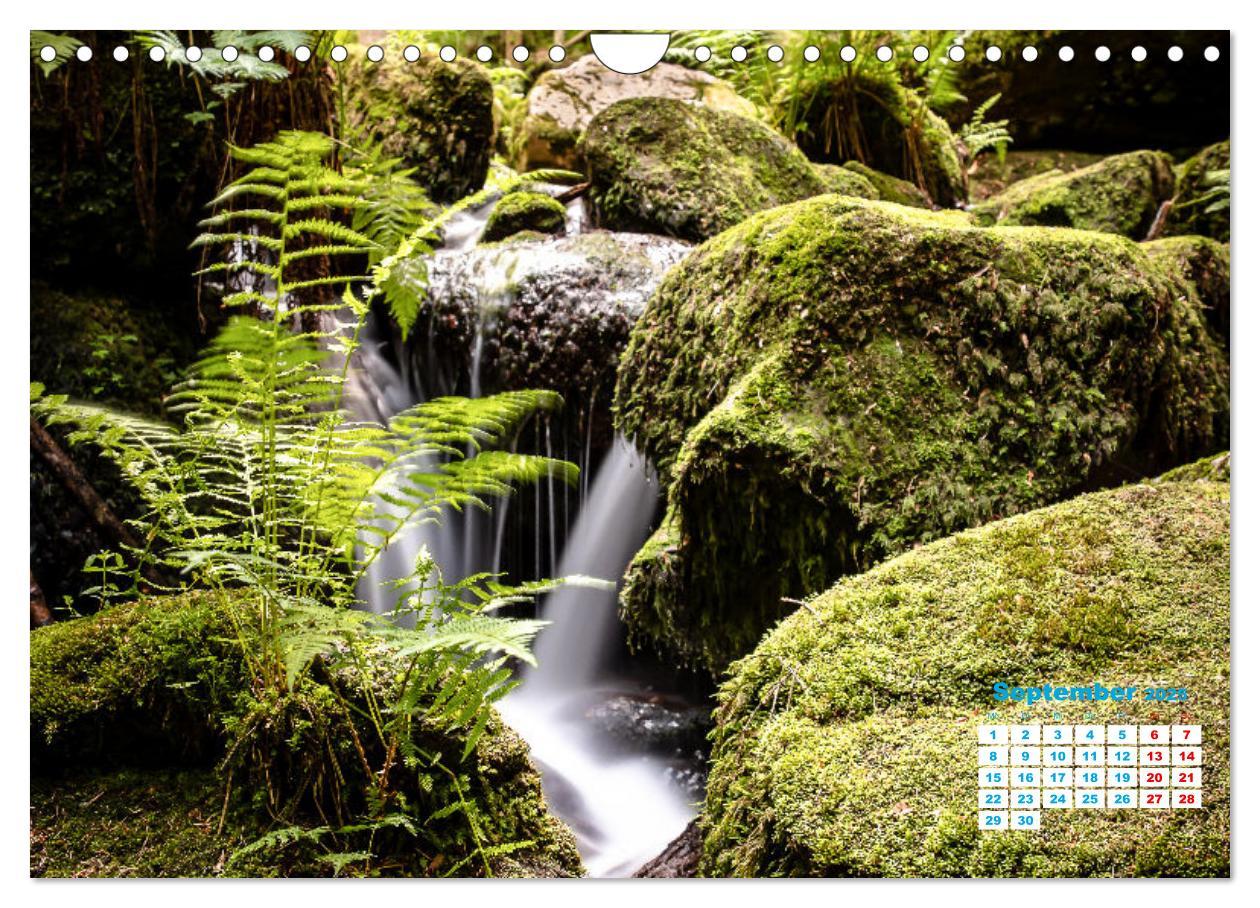 Bild: 9783383962714 | Wasserfall im Bühlertal (Wandkalender 2025 DIN A4 quer), CALVENDO...