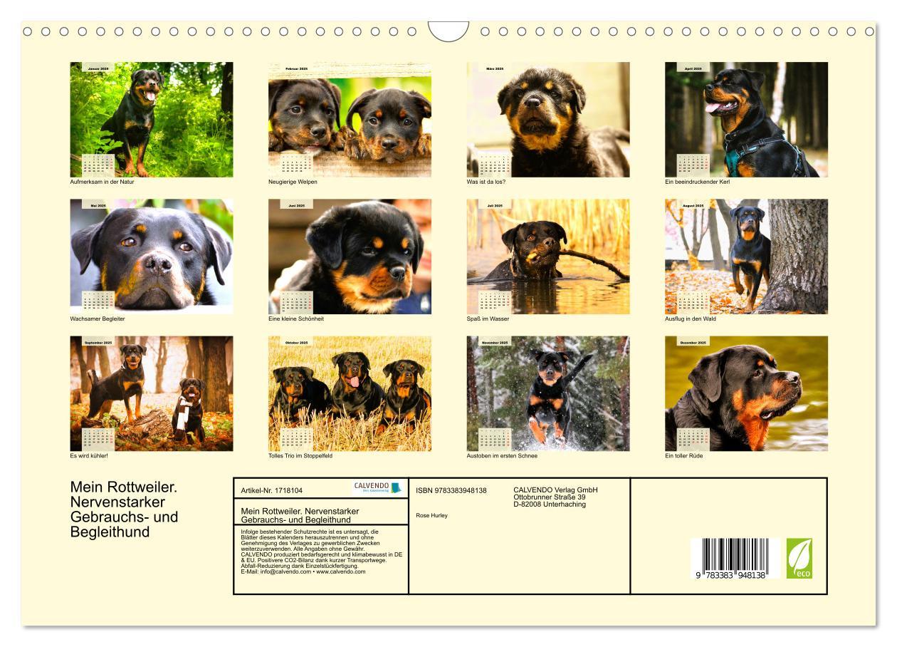 Bild: 9783383948138 | Mein Rottweiler. Nervenstarker Gebrauchs- und Begleithund...