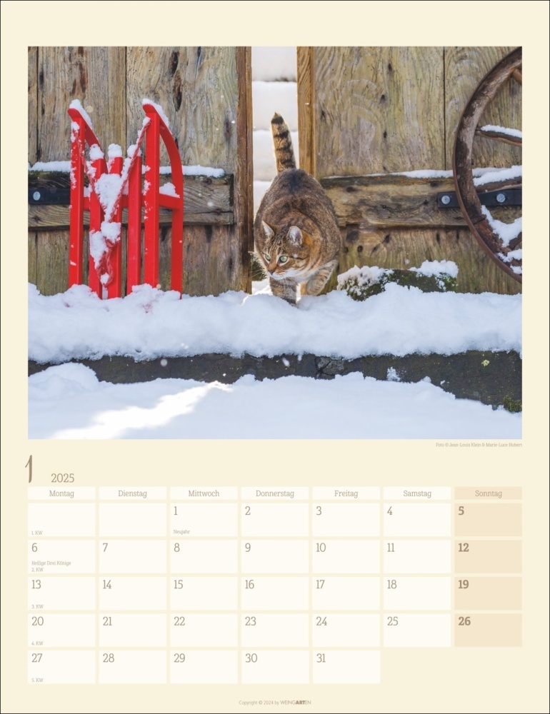 Bild: 9783839900505 | Katzen auf dem Lande Kalender 2025 | Marie-Luce Hubert (u. a.) | 14 S.