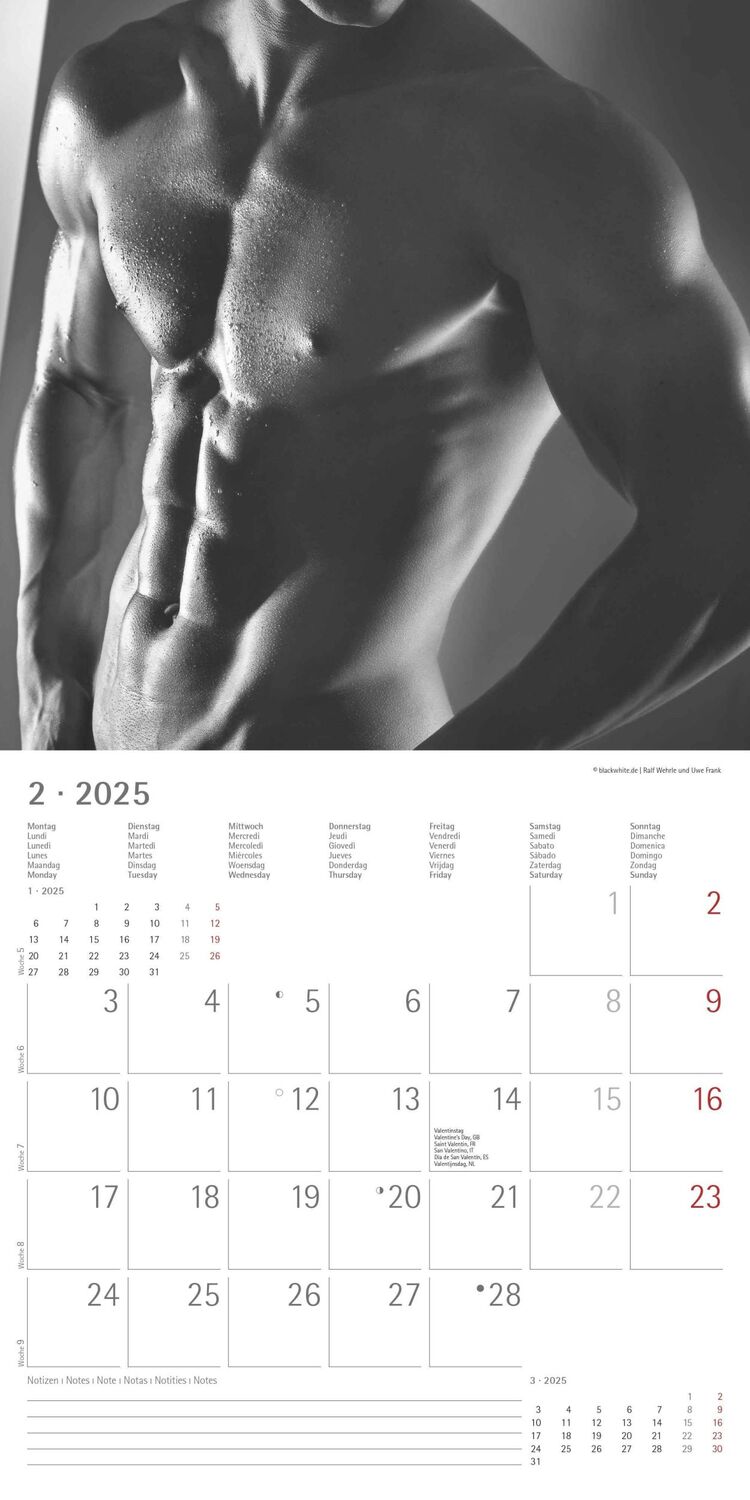 Bild: 4251732343095 | Masculine 2025 - Broschürenkalender 30x30 cm (30x60 geöffnet) -...