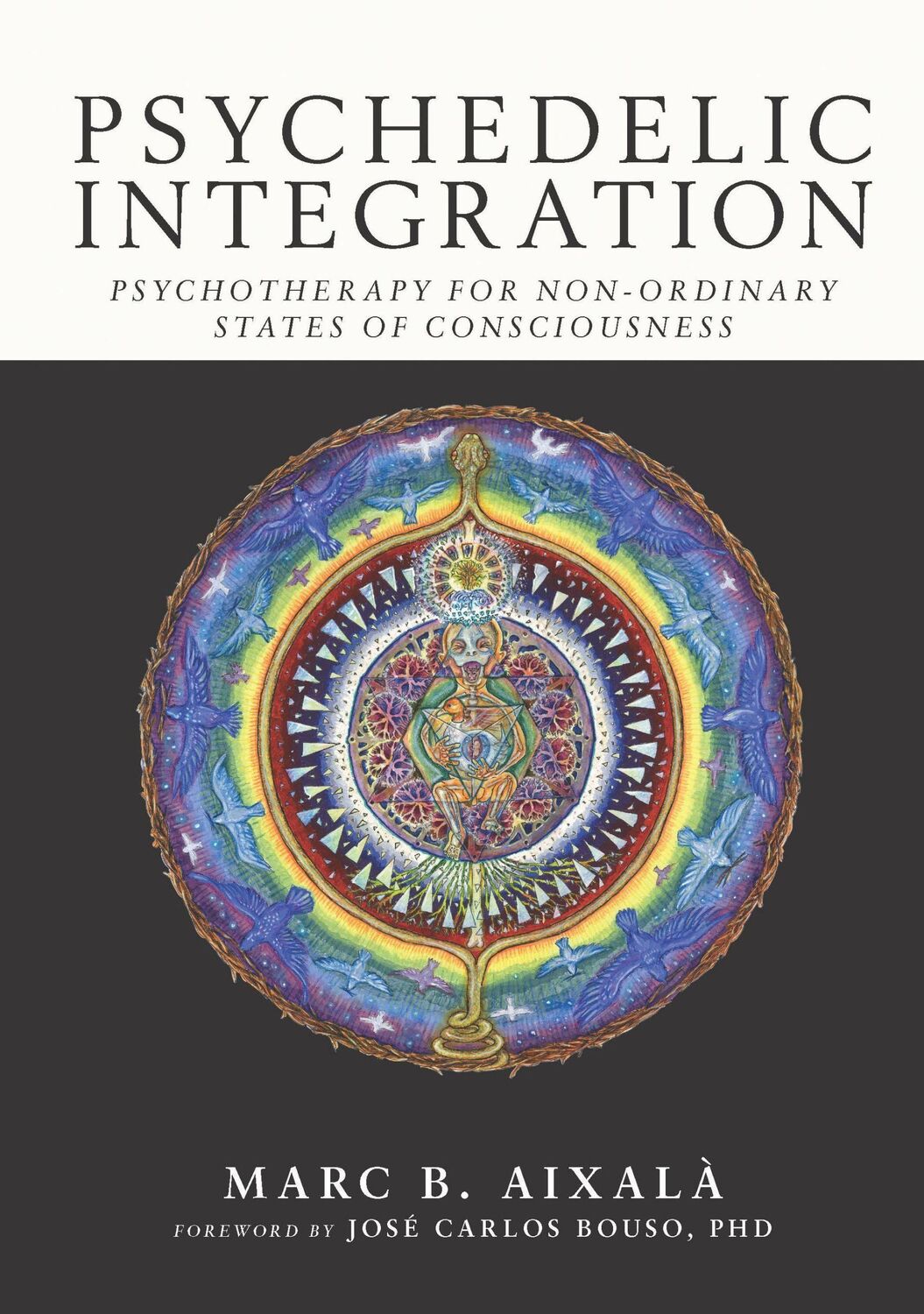 Cover: 9780907791393 | Psychedelic Integration | Marc Aixal | Taschenbuch | Englisch | 2022