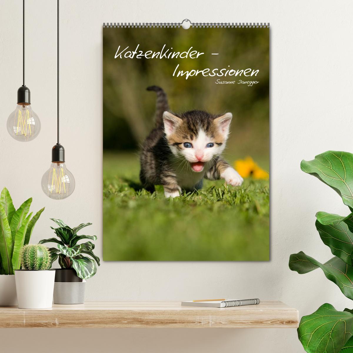 Bild: 9783457086063 | Katzenkinder - Impressionen (Wandkalender 2025 DIN A2 hoch),...