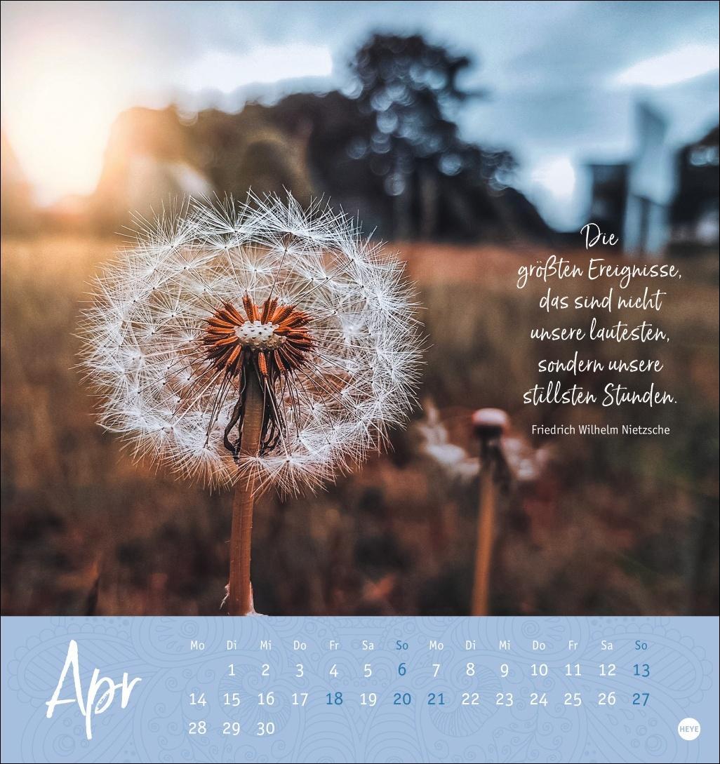 Bild: 9783756406944 | Stille Momente Postkartenkalender 2025 | Heye | Kalender | 13 S.