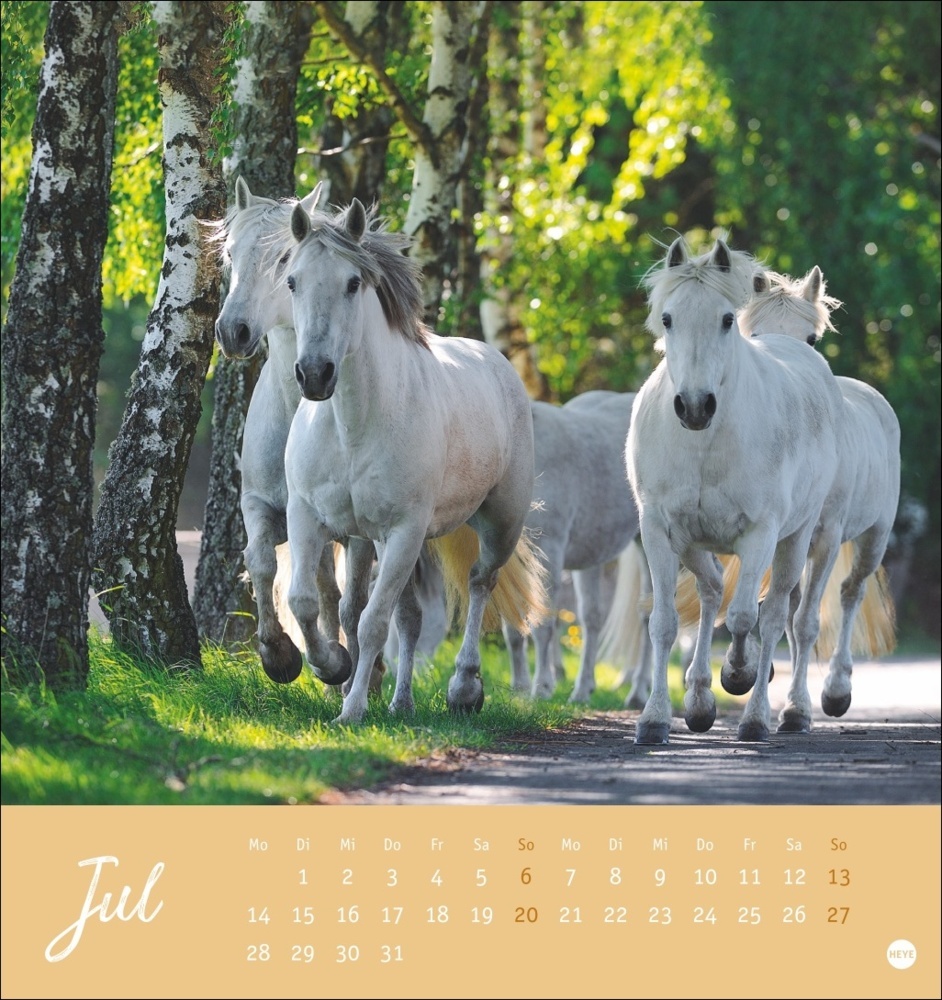 Bild: 9783756407040 | Pferde Postkartenkalender 2025 - Starke Freunde | Sabine Stuewer