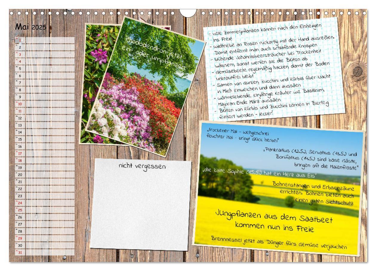 Bild: 9783435132522 | Was ist noch im Garten zu tun? (Wandkalender 2025 DIN A3 quer),...