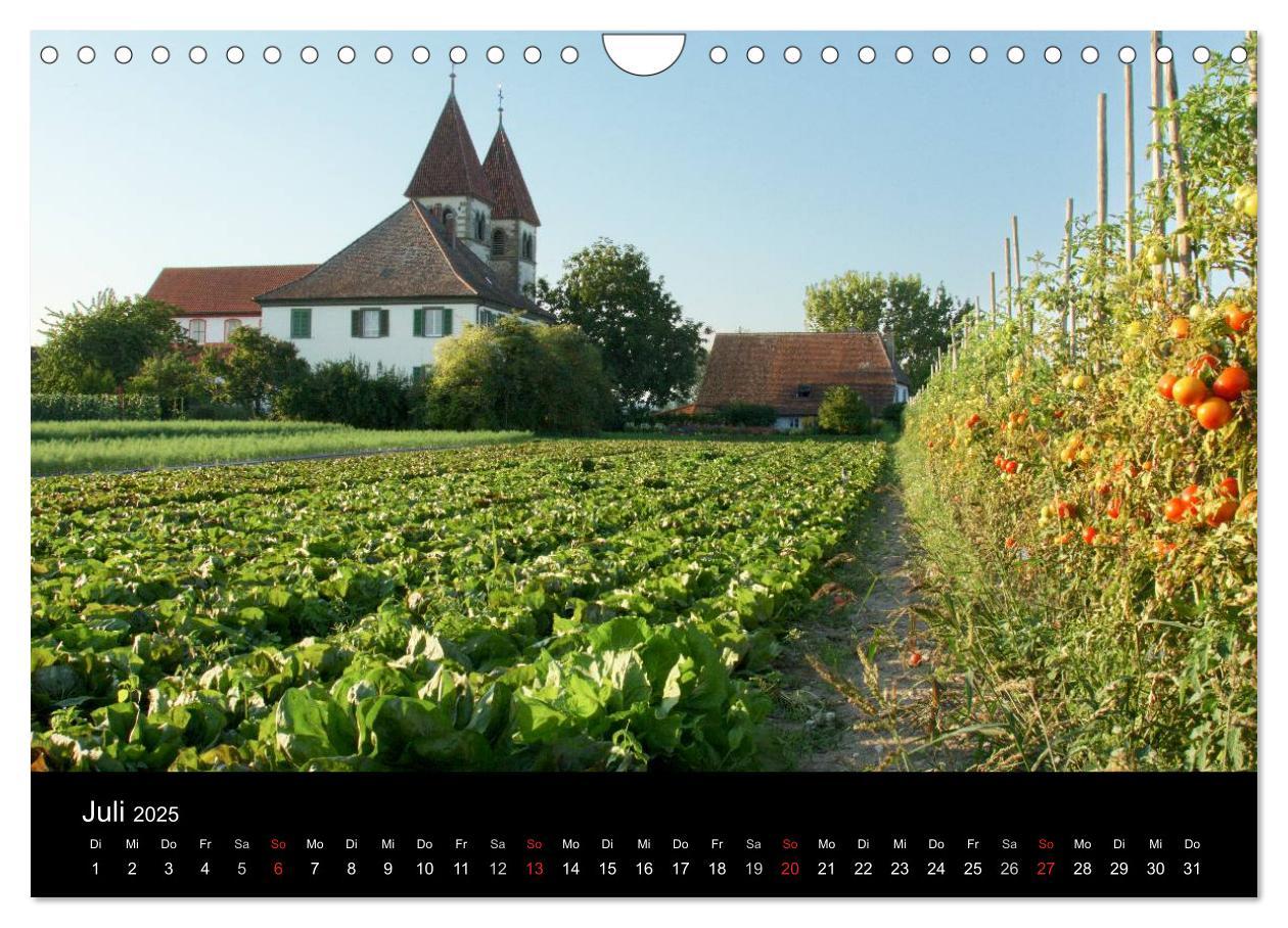 Bild: 9783435792153 | Ein Jahr am BODENSEE (Wandkalender 2025 DIN A4 quer), CALVENDO...