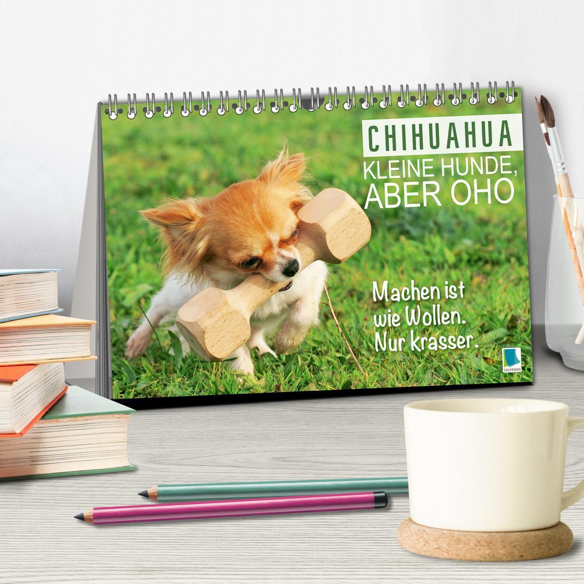 Bild: 9783457199879 | Chihuahua: Kleine Hunde, aber oho (Tischkalender 2025 DIN A5 quer),...