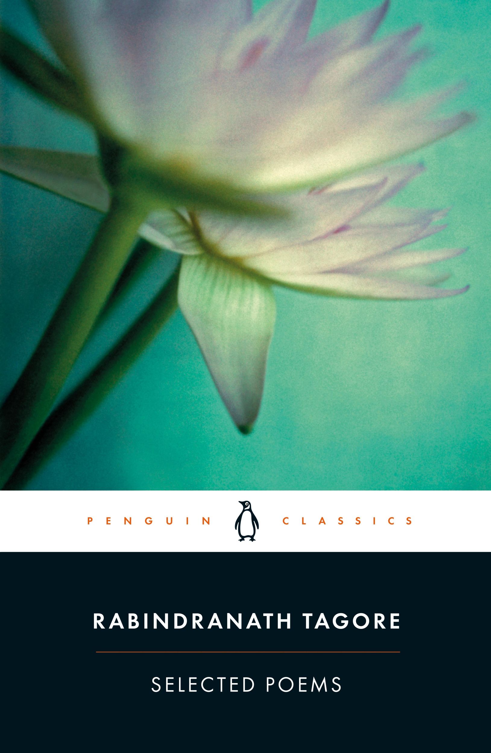 Cover: 9780140449884 | Selected Poems of Rabindranath Tagore | Rabindranath Tagore | Buch