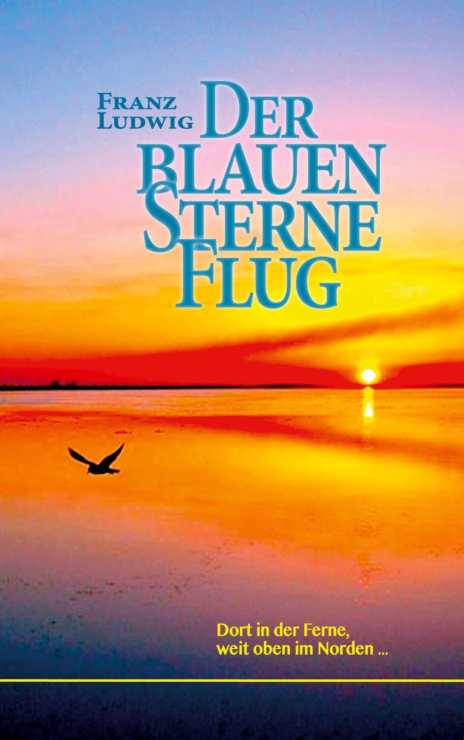 Cover: 9783753482927 | Der blauen Sterne Flug | Dort in der Ferne, weit oben im Norden | Buch