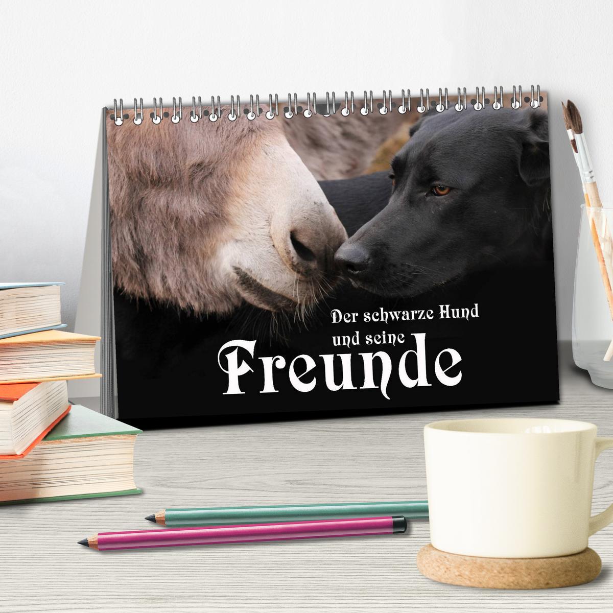 Bild: 9783435661275 | Der schwarze Hund und seine Freunde (Tischkalender 2025 DIN A5...