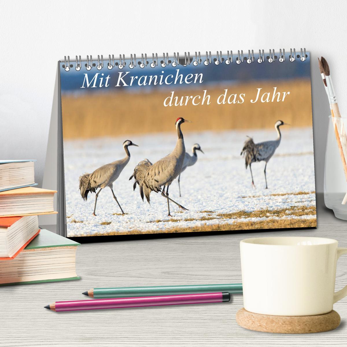 Bild: 9783435420827 | Mit Kranichen durch das Jahr (Tischkalender 2025 DIN A5 quer),...