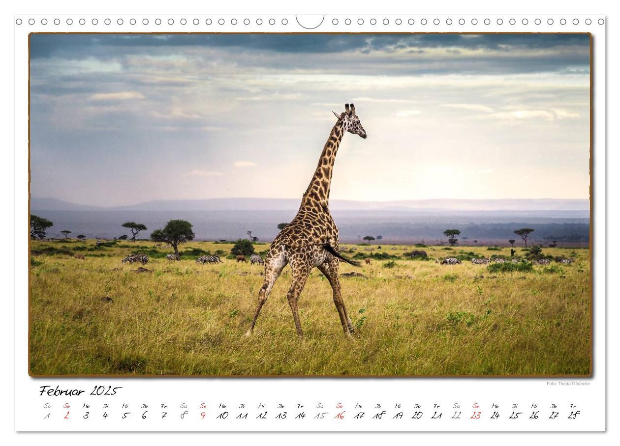 Bild: 9783435488773 | Abenteuer Masai Mara (Wandkalender 2025 DIN A3 quer), CALVENDO...